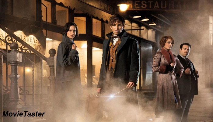 top 10 best movies for harry potter fans